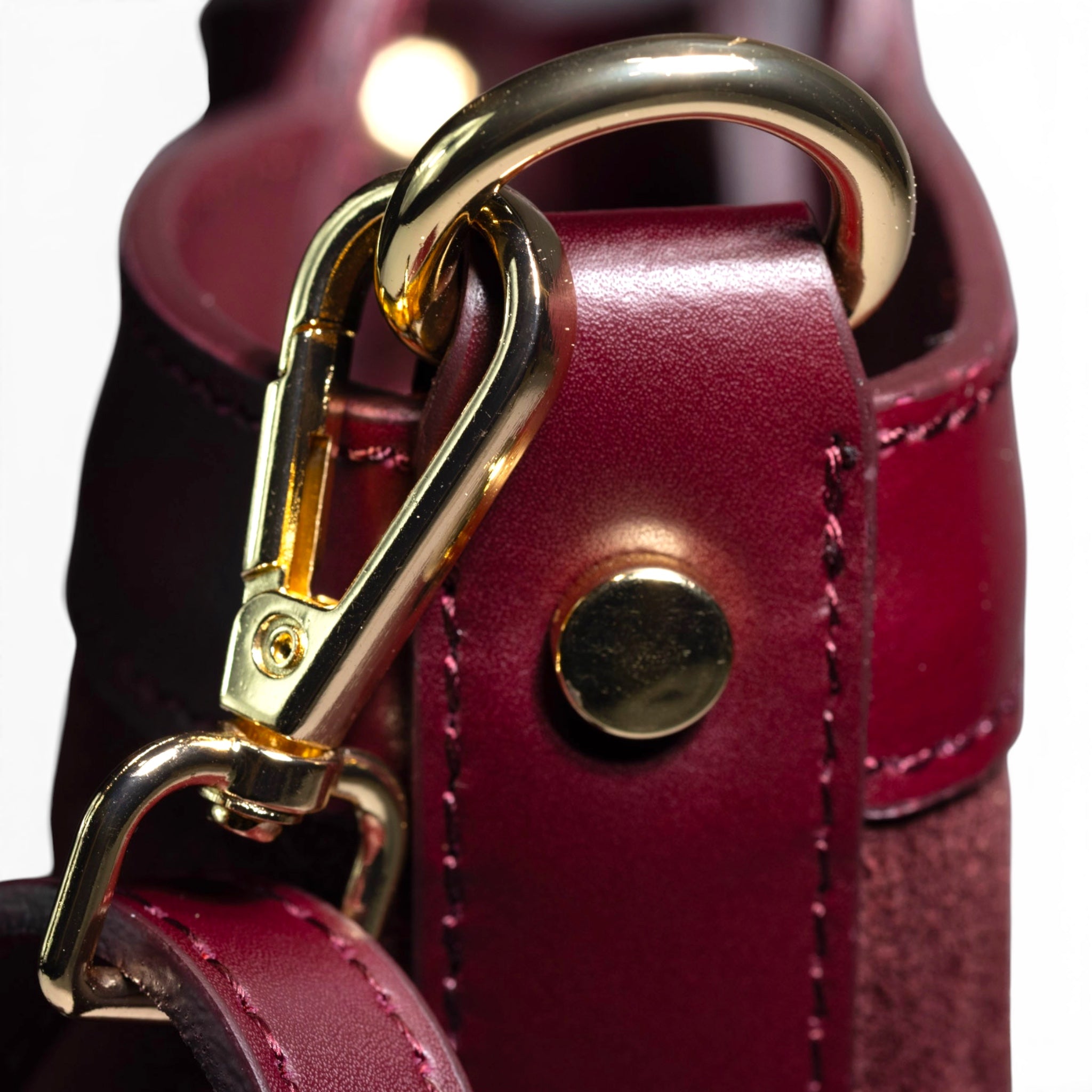 Siena gold tone hardware Italian leather handbag detail